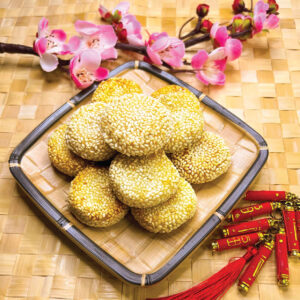 Pan Fried Sesame Coin Mochi